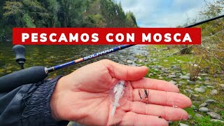 PESCANDO TRUCHAS CON ARMADA DE MOSCA 🎣🫡 [upl. by Noskcire]