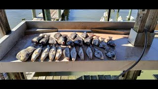 111824 fishing report Galveston bay are  Trinity East amp West jesus galveston fishingreport [upl. by Haleeuqa]