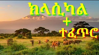 ክላሲካል Best ethiopian Instrumental Music Collections eritrea Classical Music non StopEthioTOPs [upl. by Rivalee]