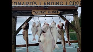 2023 Halibut Fishing阿拉斯加海钓  Yakutat Alaska [upl. by Gaal444]