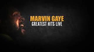 Marvin Gaye Greatest Hits Live [upl. by Jennette453]