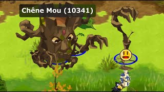 Dofus retro 69 Chemin du donjon Koulosse🗝️ Caverne du Koulosse🗝️ [upl. by Huntlee]