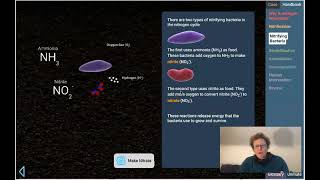 Lab 4 13 Nitrogen Cycles Case Pt 1 of 2 [upl. by Eedebez]