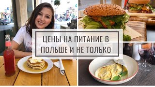 Цены на продукты в Польше  Расходы на питание  Цены в кафе и в ресторанах  Влог из закупов [upl. by Aleafar]