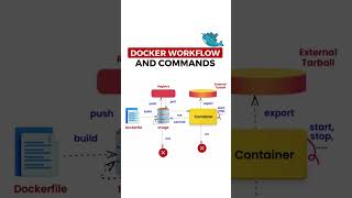 DOCKER WORKFLOW AND COMMANDS reactjs python sourcecode programming javascript [upl. by Euqirat]