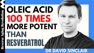 DAVID SINCLAIR “Oleic Acid 100 Times More Potent Than Resveratrol”Dr David Sinclair Interview Clips [upl. by Twila]