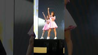 Fancam Bam Cmcafe  Cat Slave ทาสแมว  Honey Toast  2692563  Digital You Life At SiamCenter [upl. by Aerdnaed]