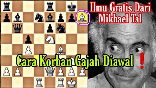 Belajar Korban Perwira Versi Mikhael Tal❗Manufer Langkah Gajah Mikhael Tal Diluar Nalar Manusia [upl. by Neelrahc]