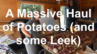 A Massive Haul of Potatoes and some Leek [upl. by Rj]