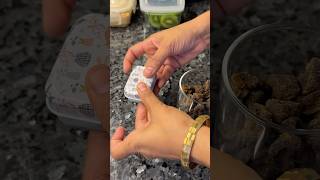 lunchideas tiffin love vlog kidslunchbox [upl. by Horlacher]