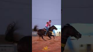 FILME LA PEPITA DON HJG  HARAS JOEL GONÇALVES [upl. by Benia]