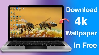 How To Download 4K Wallpapers  Thems For LaptopPC  Edition 2024 [upl. by Rednijar136]