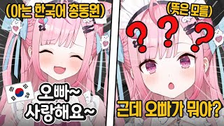 아는 한국어를 동원해보지만 정작 뜻은 몰랐던 사쿠나ㅋㅋㅋㅋㅋ  개인세 유우키 사쿠나 [upl. by Cohen631]