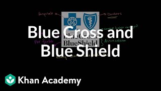 Blue Cross and Blue Shield  Health care system  Heatlh amp Medicine  Khan Academy [upl. by Ragse]