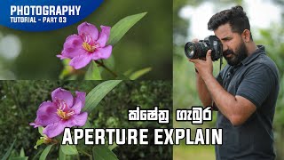 Aperture Explain  Photography Basics Part 03 [upl. by Lona]