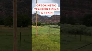 Optokinetic Training for Visual Vertigo Riding Train [upl. by Chery]