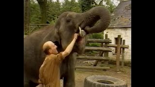 Skanda Vale Elephant – ITV documentary 1988 [upl. by Lorin]