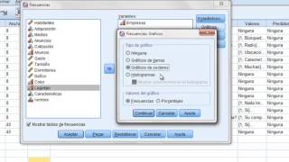 tabla de frecuencia en SPSS [upl. by Cammi780]