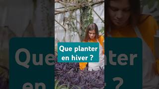 Quoi planter en hiver [upl. by Alo]