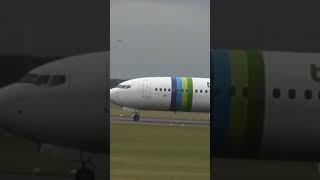 B7378 Dep From Doncaster airport TRANSAVIA aviation aircraft airlines pilot crew travel [upl. by Tod807]