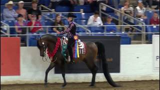 Scottsdale Arabian Horse Show 2020 [upl. by Allcot]