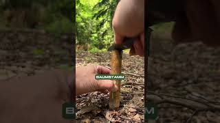 Bushcraft Messer Review Odenwolf Ambulo bushcraftmesser outdoormesser wandern wildnis campen [upl. by Giacinta603]