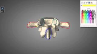 Typical Lumbar Vertebra Tutorial [upl. by Khajeh]