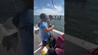 Me reeling in a bluefish on a light rod [upl. by Eirrot650]