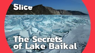 Lake Baikal A biological treasure trove  SLICE [upl. by Schulz]