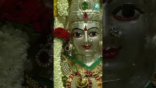 ಕುಂಕುಮವ ತಂದಿರುವೆ  Kunkumava Thandiruve  Goddess Parvati Devotional Song  Vani Jairam [upl. by Anahgem]