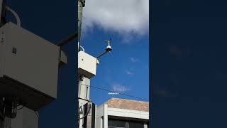 How does anemometer works anemometer wind speed technology weather australia india pakistan [upl. by Daggett]