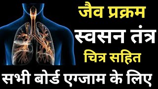 श्वसन किसे कहते हैं श्वसन तंत्र किसे कहते हैं what is respiration class 10 biology [upl. by Soloman]