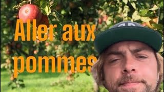 Aller aux pommes c’est l’enfer [upl. by Anneehs]