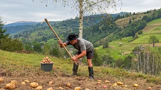 Carpathian Life and Potato Harvest in the Village [upl. by Emsoc]