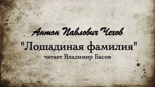 АП Чехов quotЛошадиная фамилияquot 1885г [upl. by Nnyre277]