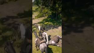 RDR2 GLITCH MISSOURI FOX TROTTER in CHAPTER2 rdr2 shorts arthurmorgan reddeadredemption [upl. by Kreit]