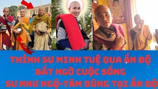 Thỉnh sư Minh Tuệ đến Ấn Độ bất ngờ sư Tâm Dũng sư Như Ngộ gặp người quen tại Ấn Độ [upl. by Nnyliak]