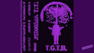 T​​G​T​​B  Hypermnesia [upl. by Shepperd186]