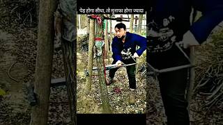 ⚠️टिंबर खेती वाले विशेष ध्यान दे agriculture farming jugaad [upl. by Ytsenoh901]