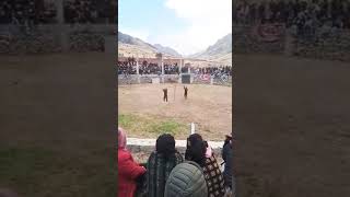 Bull Fighting in Gilgit GB Pakistan subscribe viralvideofyp bullfightnggilgitbaltistanpakistan [upl. by Newmann]