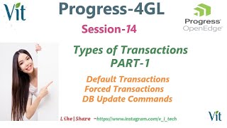 Progress 4GLSession14  vitechtalks6017 Types of Transactions Part1 [upl. by Ellinger523]