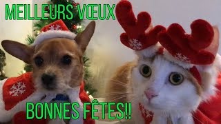 Bonnes Fêtes Meilleurs Vœux Avec Giggy et Frimousse [upl. by Hcahsem157]