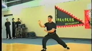 Hung Gar  Mui Fa Kuen 洪拳  梅花拳 [upl. by Reivaz]