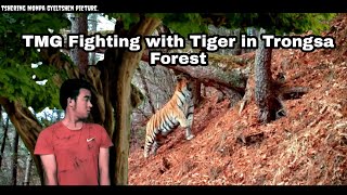 2022TMG Fighting With Tiger in Trongsa Forest [upl. by Amlet]