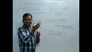 Thermoregulation Class 1 Ecto amp Endotherms Poikilotherm Conformers Regulators thermoregulation [upl. by Enrahs831]