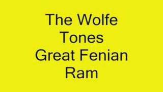 The Wolfe Tones Great Fenian Ram [upl. by Goldfinch]