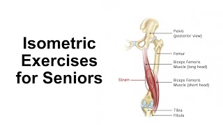 Isometric Exercises for Seniors [upl. by Mirabelle]