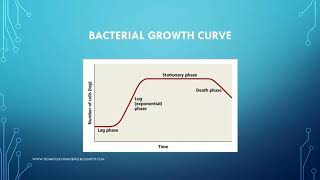 Bacterial Growth Curve [upl. by Dita225]