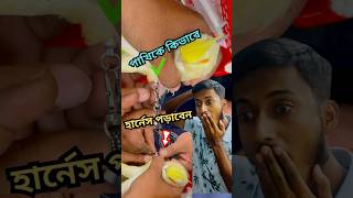 কিভাবে পাখির পায়ে হার্নেস পড়াবেন birds pets harness tips anondopets shorts [upl. by Bicknell780]