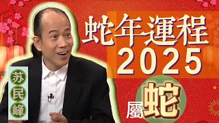 【蛇】蘇民峰讲解2025 蛇年生肖運程 [upl. by Newman224]